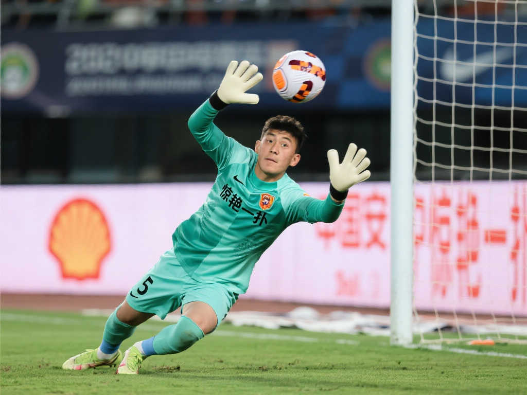 他们的稳固 他们的稳固