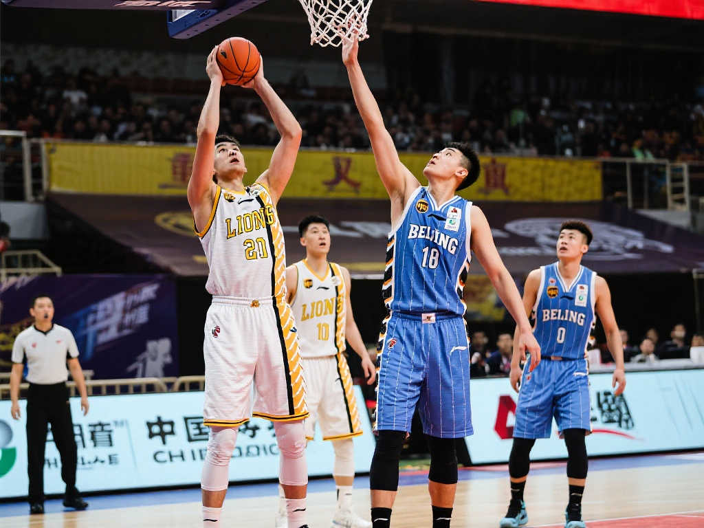 成为不少球 成为不少球