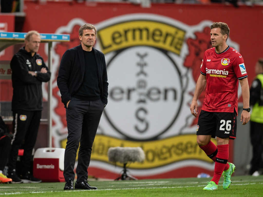 莱昂纳多的 莱昂纳多的